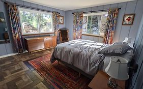 Sleeping Wolf Guest House