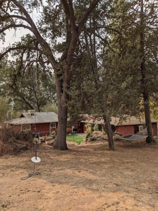 Sleeping Wolf Guest House Oakhurst Exterior foto